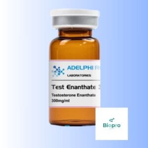 Adelphi Test Enanthate 300mg vial