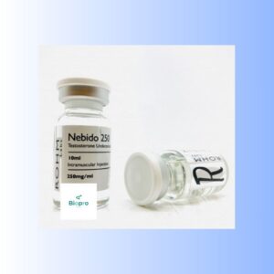 Rohm Labs Nebido 250mg Injection
